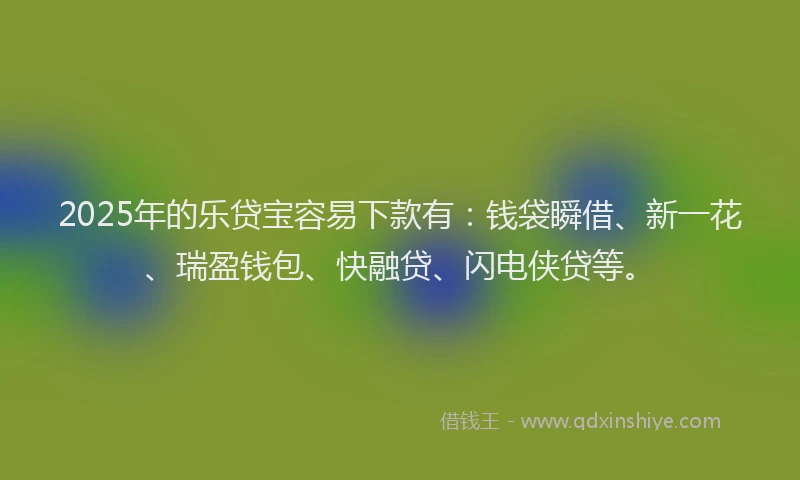 2025年的乐贷宝容易下款有：钱袋瞬借、新一花、瑞盈钱包、快融贷、闪电侠贷等。