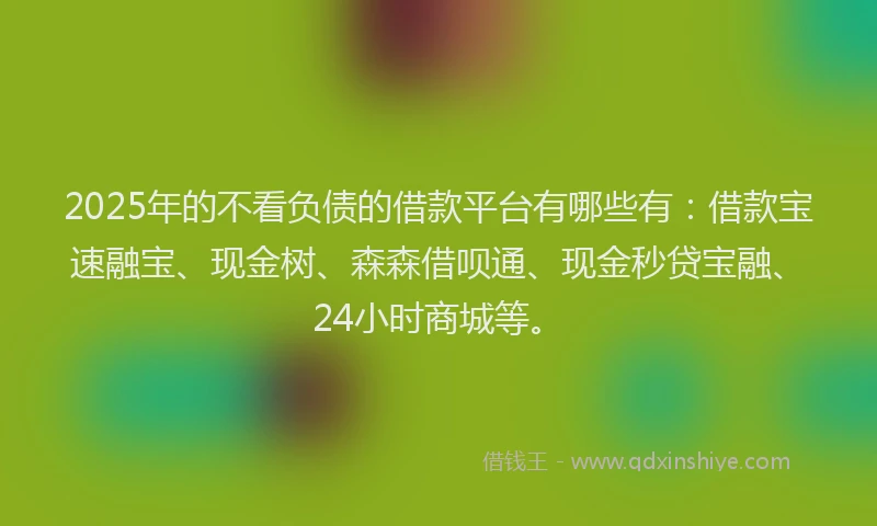 2025年的不看负债的借款平台有哪些有：借款宝速融宝、现金树、森森借呗通、现金秒贷宝融、24小时商城等。
