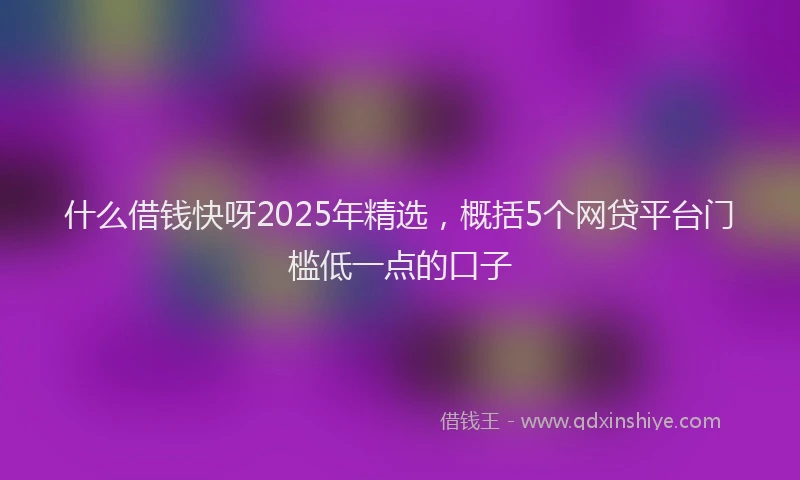 什么借钱快呀2025年精选，概括5个网贷平台门槛低一点的口子