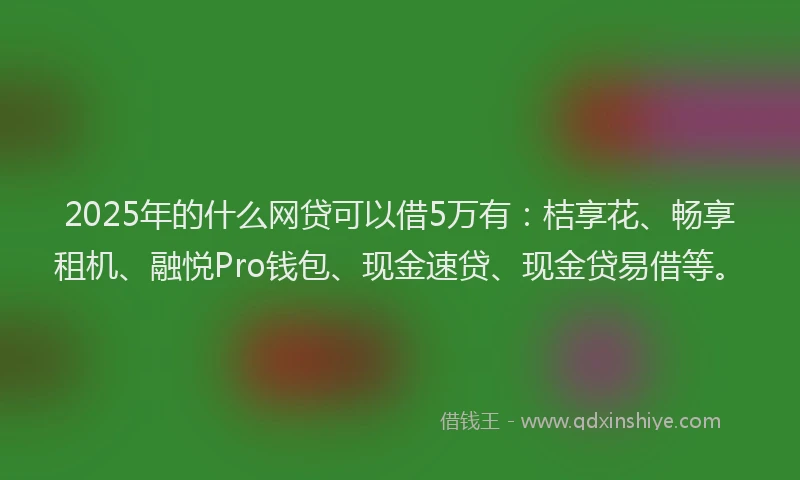 2025年的什么网贷可以借5万有：桔享花、畅享租机、融悦Pro钱包、现金速贷、现金贷易借等。