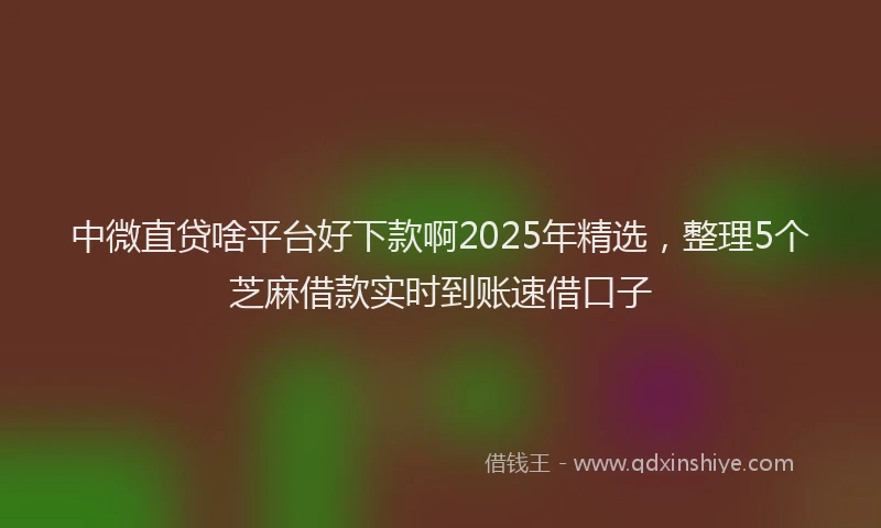 中微直贷啥平台好下款啊2025年精选，整理5个芝麻借款实时到账速借口子
