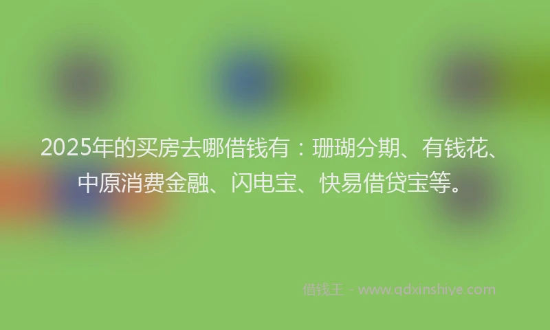2025年的买房去哪借钱有：珊瑚分期、有钱花、中原消费金融、闪电宝、快易借贷宝等。