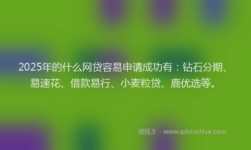 2025年的什么网贷容易申请成功有：钻石分期、易速花、借款易行、小麦粒贷、鹿优选等。