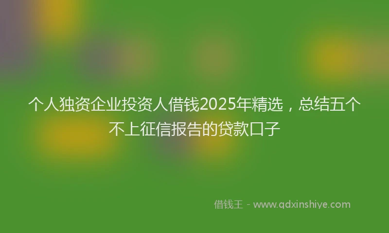 个人独资企业投资人借钱2025年精选，总结五个不上征信报告的贷款口子
