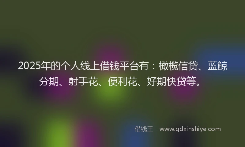 2025年的个人线上借钱平台有：橄榄信贷、蓝鲸分期、射手花、便利花、好期快贷等。