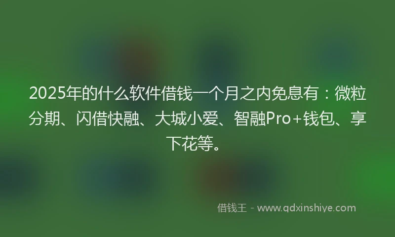 2025年的什么软件借钱一个月之内免息有：微粒分期、闪借快融、大城小爱、智融Pro+钱包、享下花等。