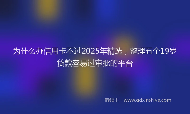 为什么办信用卡不过2025年精选，整理五个19岁贷款容易过审批的平台
