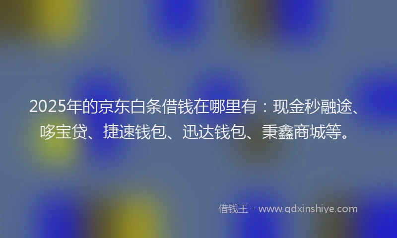 2025年的京东白条借钱在哪里有：现金秒融途、哆宝贷、捷速钱包、迅达钱包、秉鑫商城等。