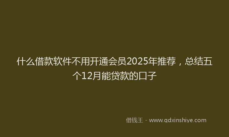 什么借款软件不用开通会员2025年推荐，总结五个12月能贷款的口子