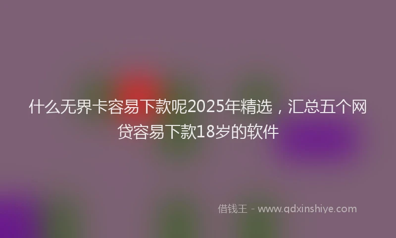 什么无界卡容易下款呢2025年精选，汇总五个网贷容易下款18岁的软件