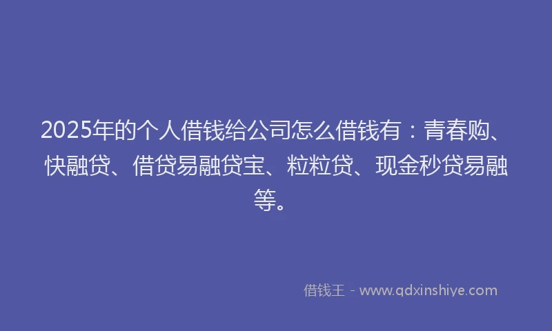 2025年的个人借钱给公司怎么借钱有：青春购、快融贷、借贷易融贷宝、粒粒贷、现金秒贷易融等。