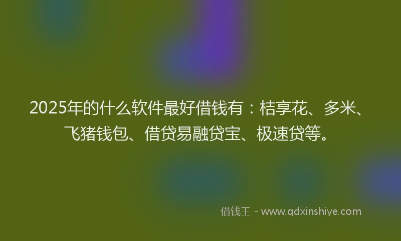 2025年的什么软件最好借钱有：桔享花、多米、飞猪钱包、借贷易融贷宝、极速贷等。
