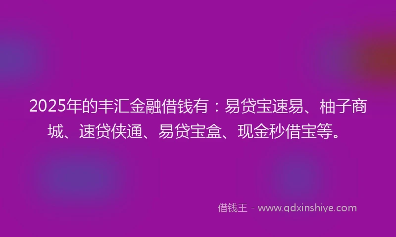 2025年的丰汇金融借钱有：易贷宝速易、柚子商城、速贷侠通、易贷宝盒、现金秒借宝等。