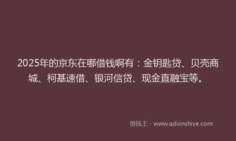2025年的京东在哪借钱啊有：金钥匙贷、贝壳商城、柯基速借、银河信贷、现金直融宝等。