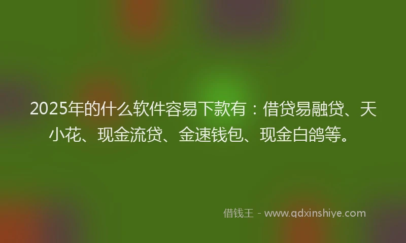 2025年的什么软件容易下款有：借贷易融贷、天小花、现金流贷、金速钱包、现金白鸽等。