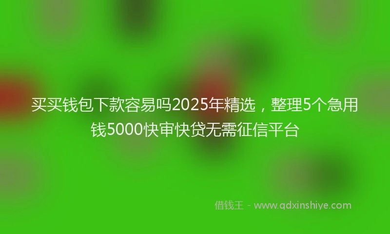 买买钱包下款容易吗2025年精选，整理5个急用钱5000快审快贷无需征信平台