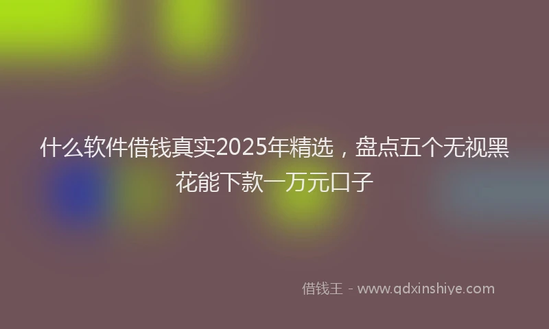 什么软件借钱真实2025年精选，盘点五个无视黑花能下款一万元口子