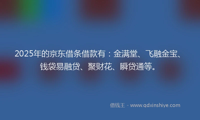 2025年的京东借条借款有：金满堂、飞融金宝、钱袋易融贷、聚财花、瞬贷通等。