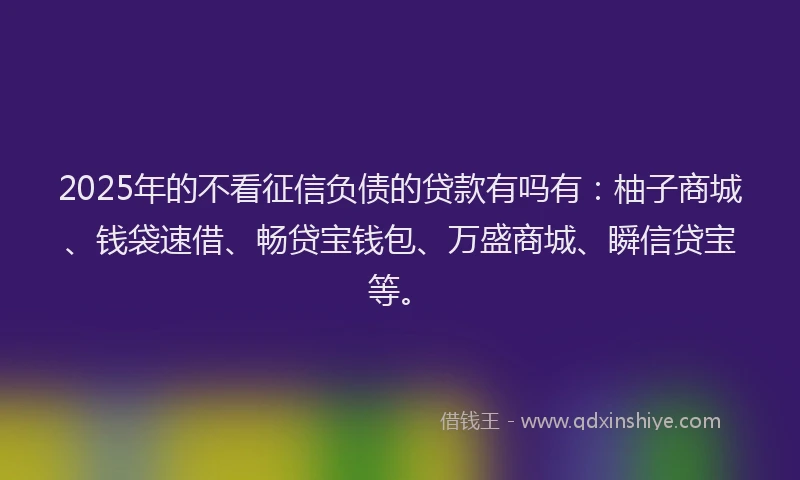 2025年的不看征信负债的贷款有吗有：柚子商城、钱袋速借、畅贷宝钱包、万盛商城、瞬信贷宝等。