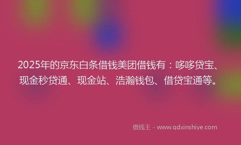 2025年的京东白条借钱美团借钱有：哆哆贷宝、现金秒贷通、现金站、浩瀚钱包、借贷宝通等。