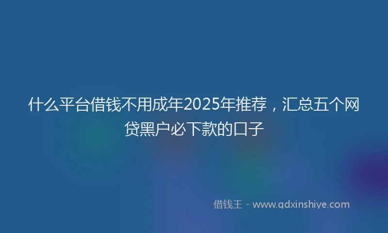 什么平台借钱不用成年2025年推荐，汇总五个网贷黑户必下款的口子
