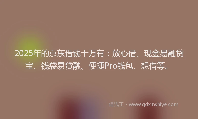 2025年的京东借钱十万有：放心借、现金易融贷宝、钱袋易贷融、便捷Pro钱包、想借等。