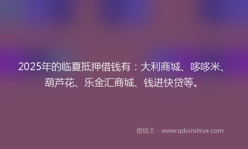 2025年的临夏抵押借钱有：大利商城、哆哆米、葫芦花、乐金汇商城、钱进快贷等。