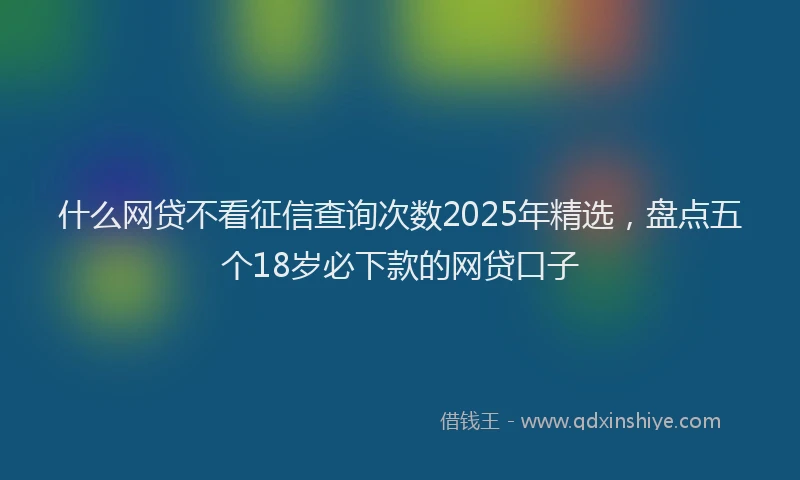 什么网贷不看征信查询次数2025年精选，盘点五个18岁必下款的网贷口子