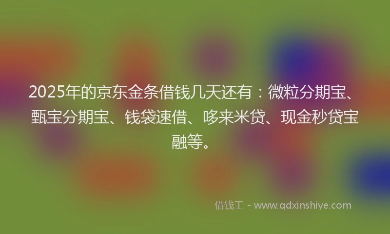 2025年的京东金条借钱几天还有：微粒分期宝、甄宝分期宝、钱袋速借、哆来米贷、现金秒贷宝融等。