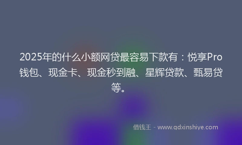 2025年的什么小额网贷最容易下款有：悦享Pro钱包、现金卡、现金秒到融、星辉贷款、甄易贷等。