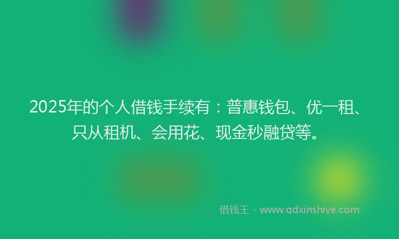 2025年的个人借钱手续有：普惠钱包、优一租、只从租机、会用花、现金秒融贷等。