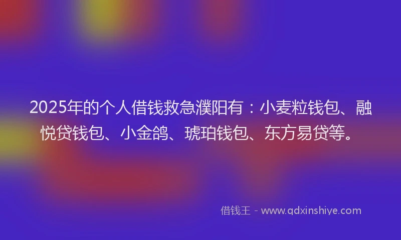 2025年的个人借钱救急濮阳有：小麦粒钱包、融悦贷钱包、小金鸽、琥珀钱包、东方易贷等。
