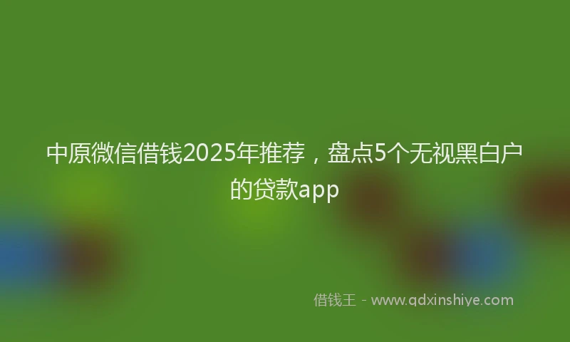 中原微信借钱2025年推荐，盘点5个无视黑白户的贷款app