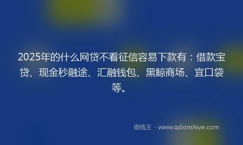 2025年的什么网贷不看征信容易下款有：借款宝贷、现金秒融途、汇融钱包、黑鲸商场、宜口袋等。