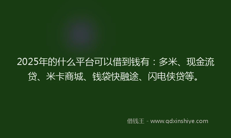 2025年的什么平台可以借到钱有：多米、现金流贷、米卡商城、钱袋快融途、闪电侠贷等。