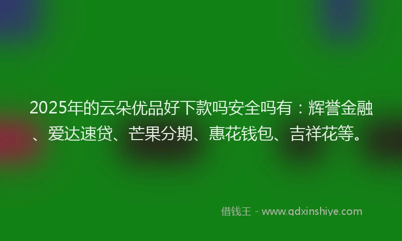 2025年的云朵优品好下款吗安全吗有：辉誉金融、爱达速贷、芒果分期、惠花钱包、吉祥花等。