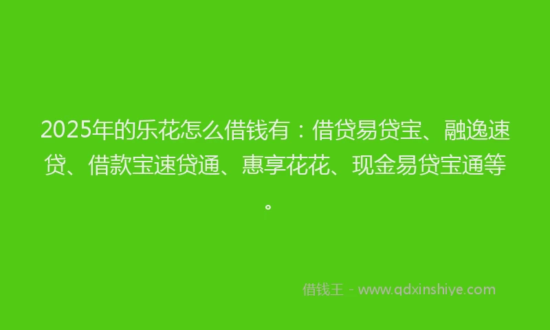 2025年的乐花怎么借钱有：借贷易贷宝、融逸速贷、借款宝速贷通、惠享花花、现金易贷宝通等。