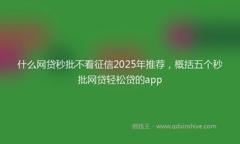 什么网贷秒批不看征信2025年推荐，概括五个秒批网贷轻松贷的app