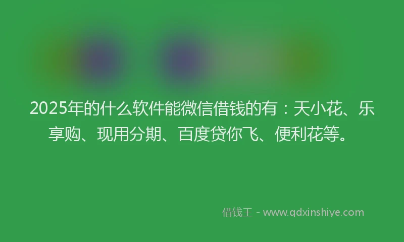 2025年的什么软件能微信借钱的有：天小花、乐享购、现用分期、百度贷你飞、便利花等。