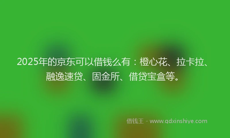 2025年的京东可以借钱么有：橙心花、拉卡拉、融逸速贷、固金所、借贷宝盒等。