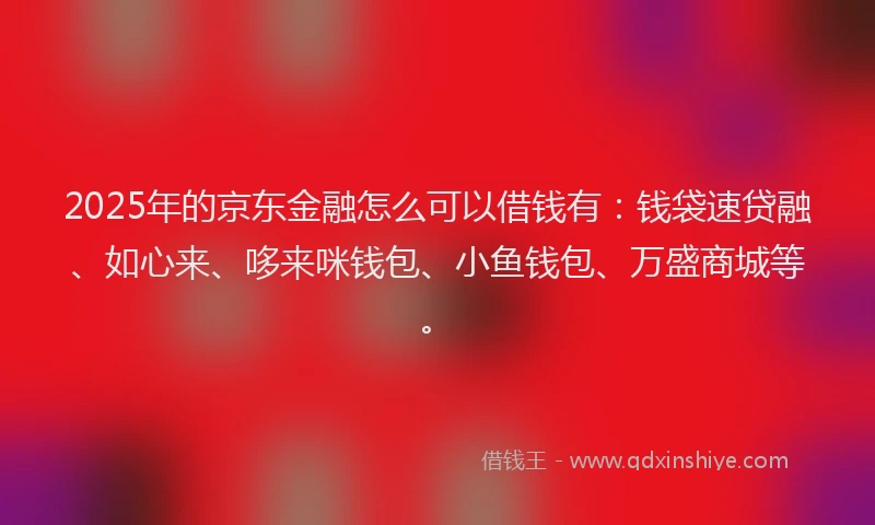 2025年的京东金融怎么可以借钱有：钱袋速贷融、如心来、哆来咪钱包、小鱼钱包、万盛商城等。