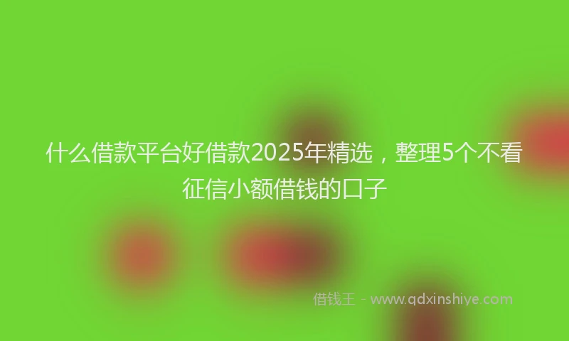 什么借款平台好借款2025年精选，整理5个不看征信小额借钱的口子