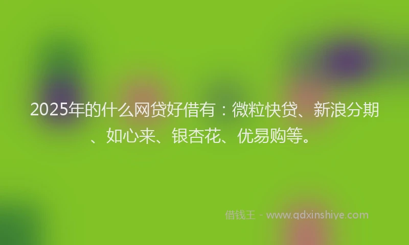 2025年的什么网贷好借有：微粒快贷、新浪分期、如心来、银杏花、优易购等。