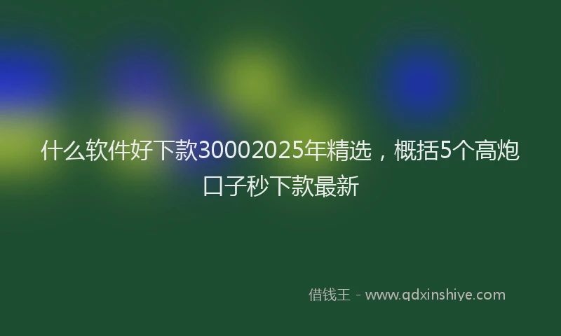 什么软件好下款30002025年精选，概括5个高炮口子秒下款最新