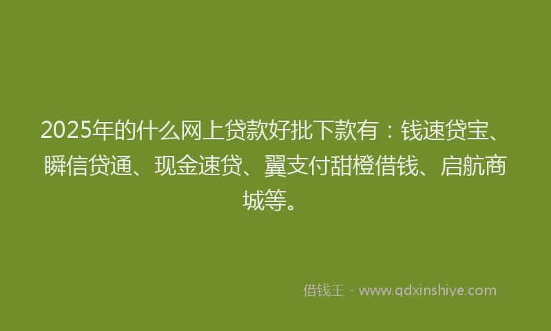 2025年的什么网上贷款好批下款有：钱速贷宝、瞬信贷通、现金速贷、翼支付甜橙借钱、启航商城等。