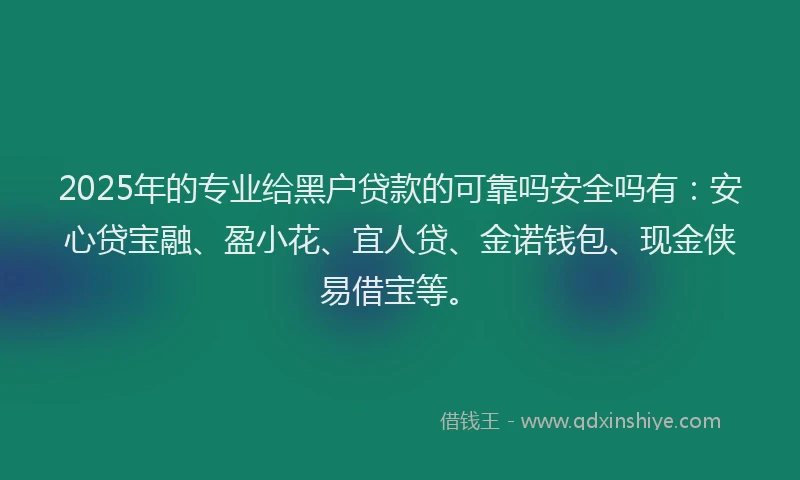 2025年的专业给黑户贷款的可靠吗安全吗有：安心贷宝融、盈小花、宜人贷、金诺钱包、现金侠易借宝等。