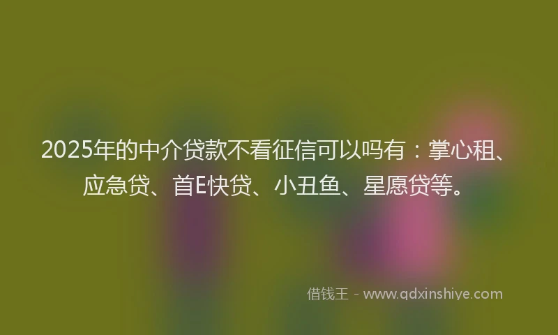 2025年的中介贷款不看征信可以吗有：掌心租、应急贷、首E快贷、小丑鱼、星愿贷等。