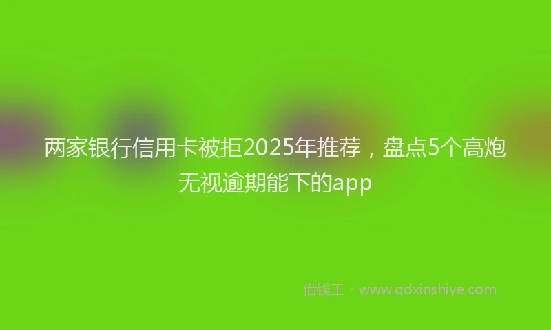 两家银行信用卡被拒2025年推荐，盘点5个高炮无视逾期能下的app