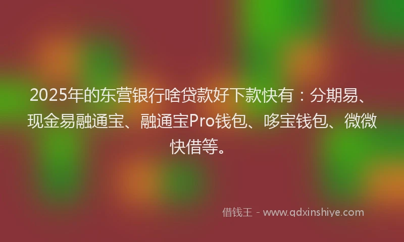 2025年的东营银行啥贷款好下款快有：分期易、现金易融通宝、融通宝Pro钱包、哆宝钱包、微微快借等。