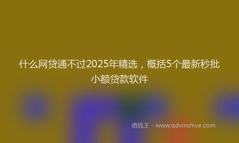 什么网贷通不过2025年精选，概括5个最新秒批小额贷款软件